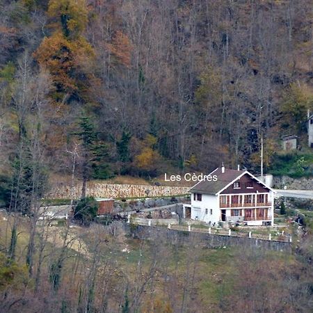 Les Cedres Apartment Ax-les-Thermes Luaran gambar